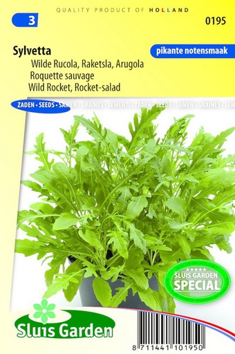 [01-000195] Raketsla (rucola) SYLVETTA - ca 8000 z