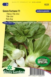 [01-000225] Paksoi GREEN FORTUNE F1 - ca 100 z