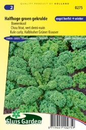 [01-000275] Boerenkool HALFHOGE GROEN GEKRULDE - ca 500 z