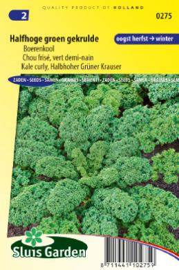 [01-000275] Boerenkool HALFHOGE GROEN GEKRULDE - ca 500 z