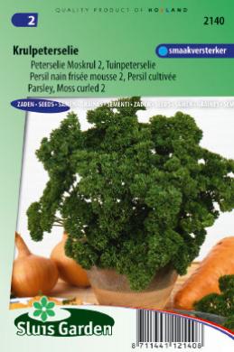 [01-002140] Persil frisée MOSKRUL 2 - ca 1650 s