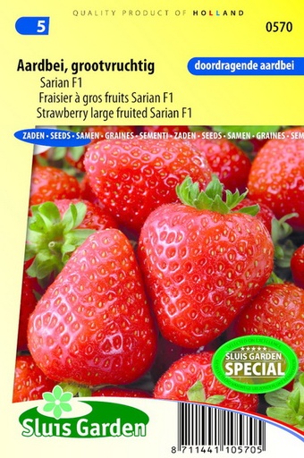 [01-000571] Aardbeien GRANDIAN F1 - ca 22 z