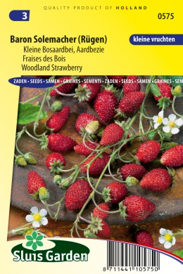 [01-000575] Fraisier des bois BARON VON SOLEMACHER - ca 540 s
