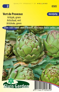 [01-000585] Artisjok GREEN GLOBE - ca 23 z
