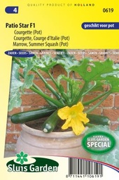 [01-000619] Groene courgette PATIO STAR F1 - ca 10 z