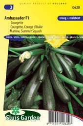[01-000620] Groene courgette AMBASSADOR F1 - ca 10 z