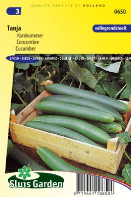 [01-000650] Concombre culture extérieure TANJA - ca 20 s