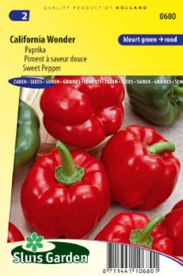 [01-000680] Blokpaprika CALIFORNIA WONDER - ca 65 z