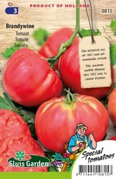 [01-000815] Tomates charnues PINK BRANDYWINE - ca 45 s