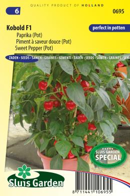 [01-000695] Buitenpaprika KOBOLD F1 - ca 8 z