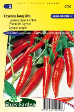 [01-000700] Peper SPAANSE LANGE RODE - ca 40 z