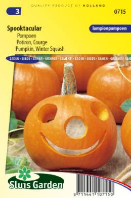 [01-000715] Pompoen HALLOWEEN (SPOOKTACULAR) - ca 8 z