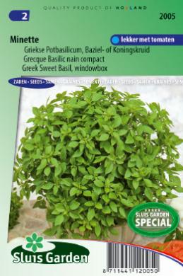 [01-002005] Basilicum MINETTE - ca 300 z