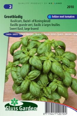 [01-002010] Basilicum AUX FEUILLES GROSSIÈRES - ca 625 s