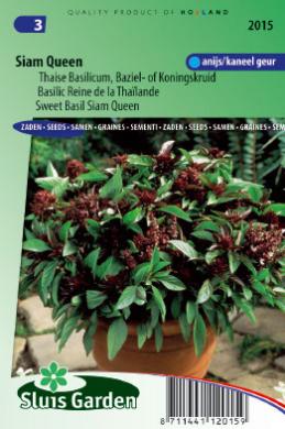 [01-002015] Basilicum SIAM QUEEN - ca 210 z