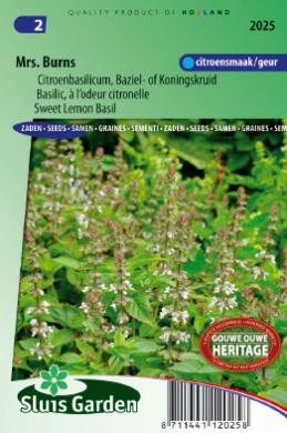 [01-002025] Citroenbasilicum MRS. BURNS - ca 280 z