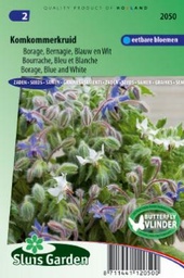 [01-002050] Borage of komkommerkruid BLAUW & WIT gemengd - ca 50 z