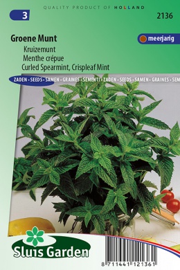 [01-002136] Kruizemunt GROENE MUNT - ca 950 z
