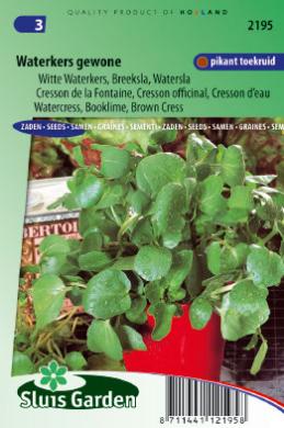 [01-002195] Witte waterkers GEWONE - ca 3200 z