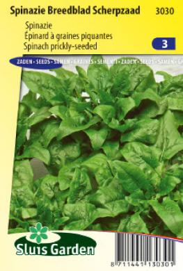 [01-003030] Spinazie BREEDBLAD SCHERPZAAD - ca 50 g