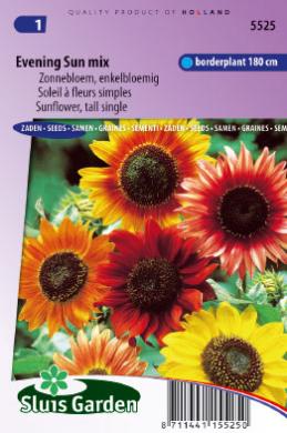 [01-005525] Helianthus annuus EVENING SUN mix - ca 50 z