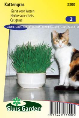 [01-003300] HERBE AU CHATS - ca 75 g
