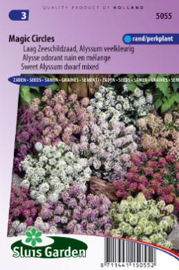 [01-005055] Alyssum maritima MAGIC CIRCLES - ca 625 z