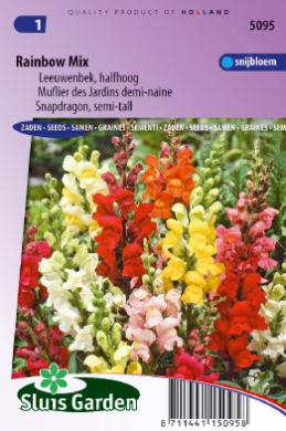 [01-005095] Antirrhinum majus nanum of leeuwenbek RAINBOW mix - ca 2200 z