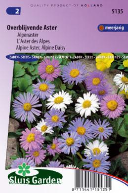 [01-005135] Aster alpinus of alpenaster - ca 165 z