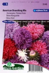 [01-005145] ASTER,Aster chinensis AMERICAN BRANCHING mix,270 zaden