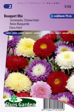 [01-005155] Aster BOUQUET mix - ca 270 z