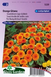 [01-005220] Calendula officinalis of goudsbloem ORANGE GITANA - ca 90 z