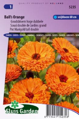 [01-005235] Calendula of goudsbloem BALL'S ORANGE - ca 170 z