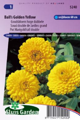 [01-005240] Calendula officinalis of goudsbloem BALLS GOLDEN - ca 170 z