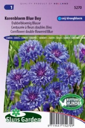 [01-005270] Centaurea cyanus BLUE BOY - ca 220 s
