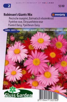 [01-005310] Chrysanthemum coccineum of margriet ROBINSON'S GIANTS mix - ca 210 z