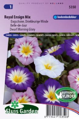 [01-005350] Convolvulus tricolor of dagschone ROYAL ENSIGN mix - ca 150 z