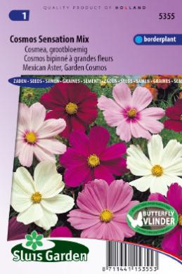 [01-005355] Cosmos SENSATION - ca 150 z
