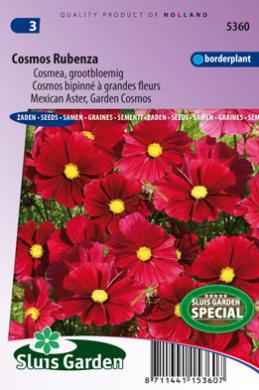 [01-005360] Cosmos RUBENZA - ca 60 s