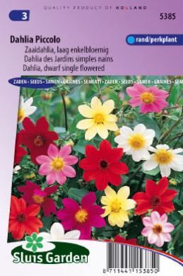 [01-005385] Dahlia PICCOLO mix - ca 90 z