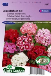 [01-005410] Dianthus barbatus - ca 0,6 g