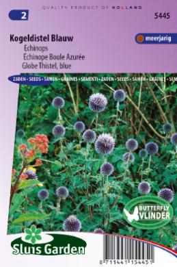 [01-005445] Echinops ritro of kogeldistel BLAUW - ca 35 z