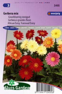 [01-005495] Gerbera jamesonii GROOTBLOEMIG MENGSEL  - ca 25 z