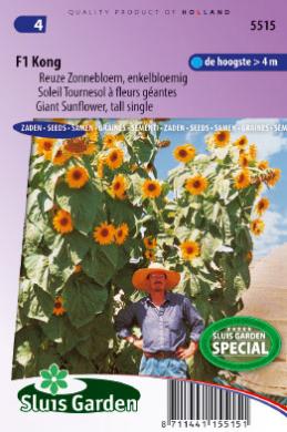 [01-005515] Helianthus annuus KONG F1 mix - ca 18 z