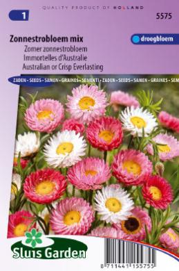 [01-005575] Helipterum roseum of zonnestrobloem GEMENGD - ca 240 z