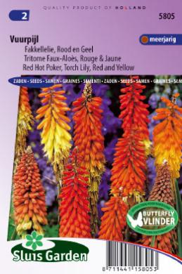 [01-005805] Kniphofia uvaria VUURPIJL - ca 180 z