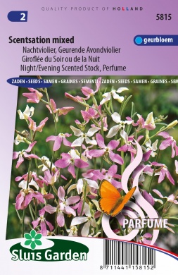 [01-005815] Matthiola longipetala bicornis SCENTSATION mix - ca 360 z