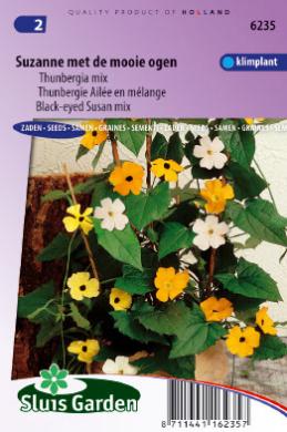 [01-006235] Thunbergia alata SUZANNE MET DE MOOIE OGEN - ca 20 z