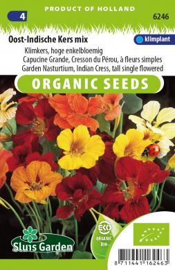 [01-006246] Tropaeolum majus - ca 30 s