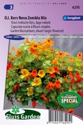[01-006295] Tropaeolum majus nanum pendula NOVA ZEMBLA - ca 20 z